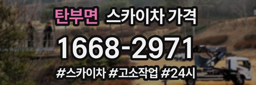 탄부면 스카이차 가격