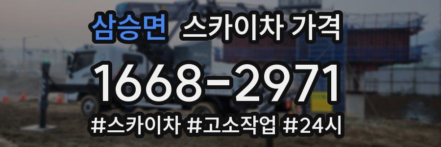 삼승면 스카이차 가격