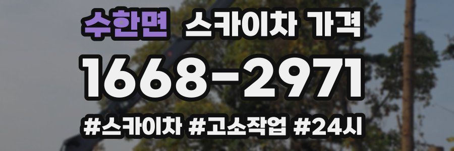 수한면 스카이차 가격