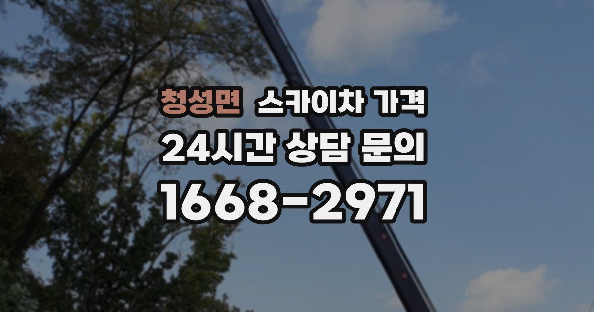 청성면 스카이차 가격