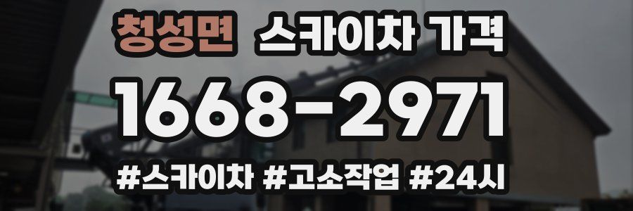 청성면 스카이차 가격