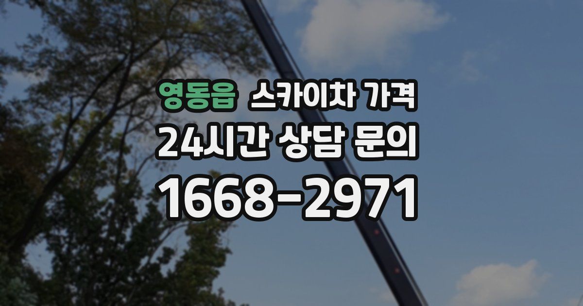 영동읍 스카이차 가격