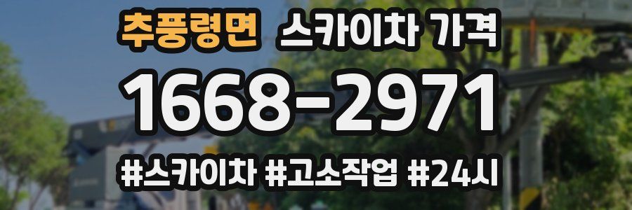 추풍령면 스카이차 가격