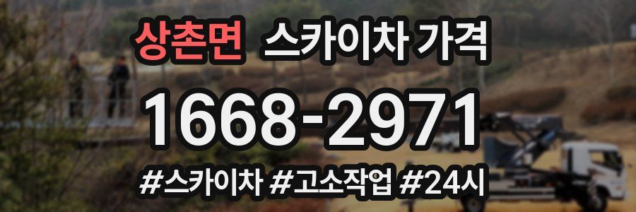 상촌면 스카이차 가격