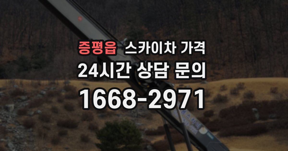 증평읍 스카이차 가격