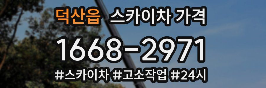 덕산읍 스카이차 가격