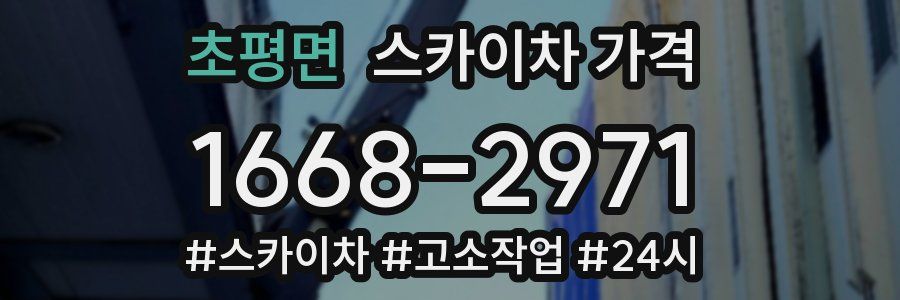 초평면 스카이차 가격