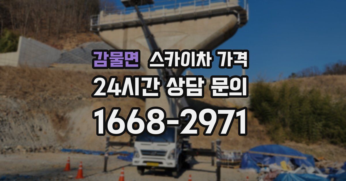 감물면 스카이차 가격