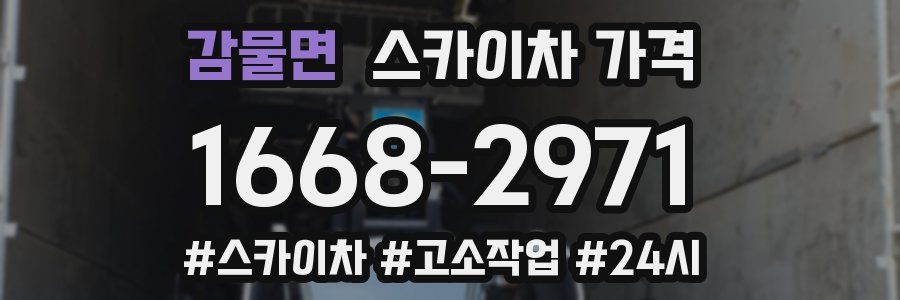 감물면 스카이차 가격