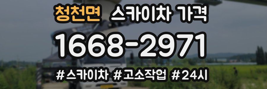 청천면 스카이차 가격