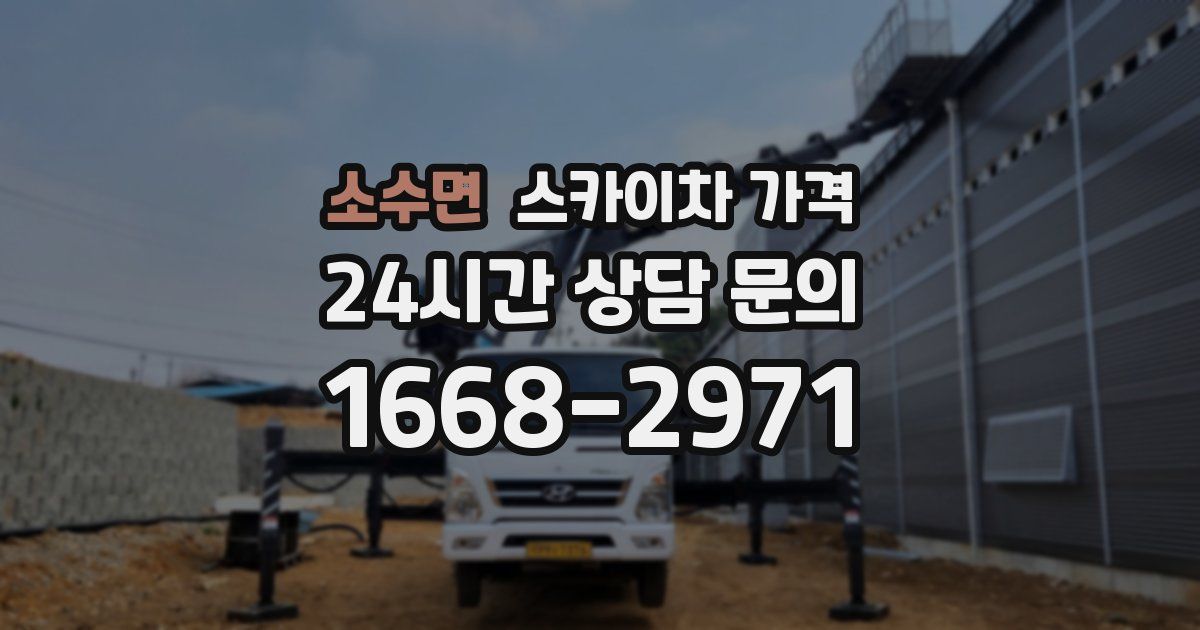 소수면 스카이차 가격