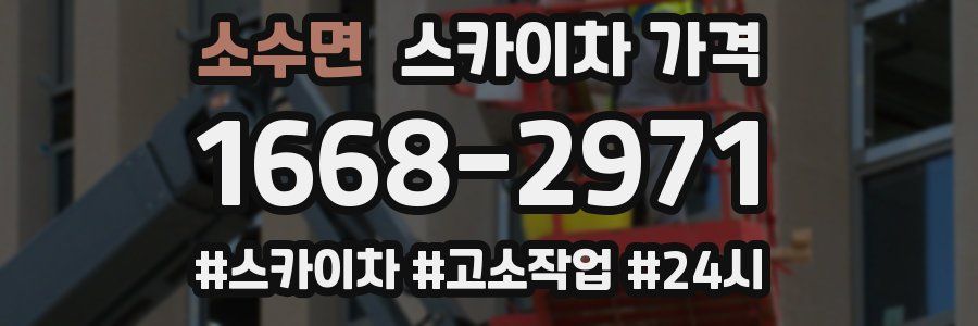 소수면 스카이차 가격