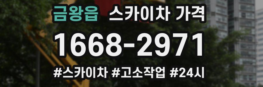 금왕읍 스카이차 가격