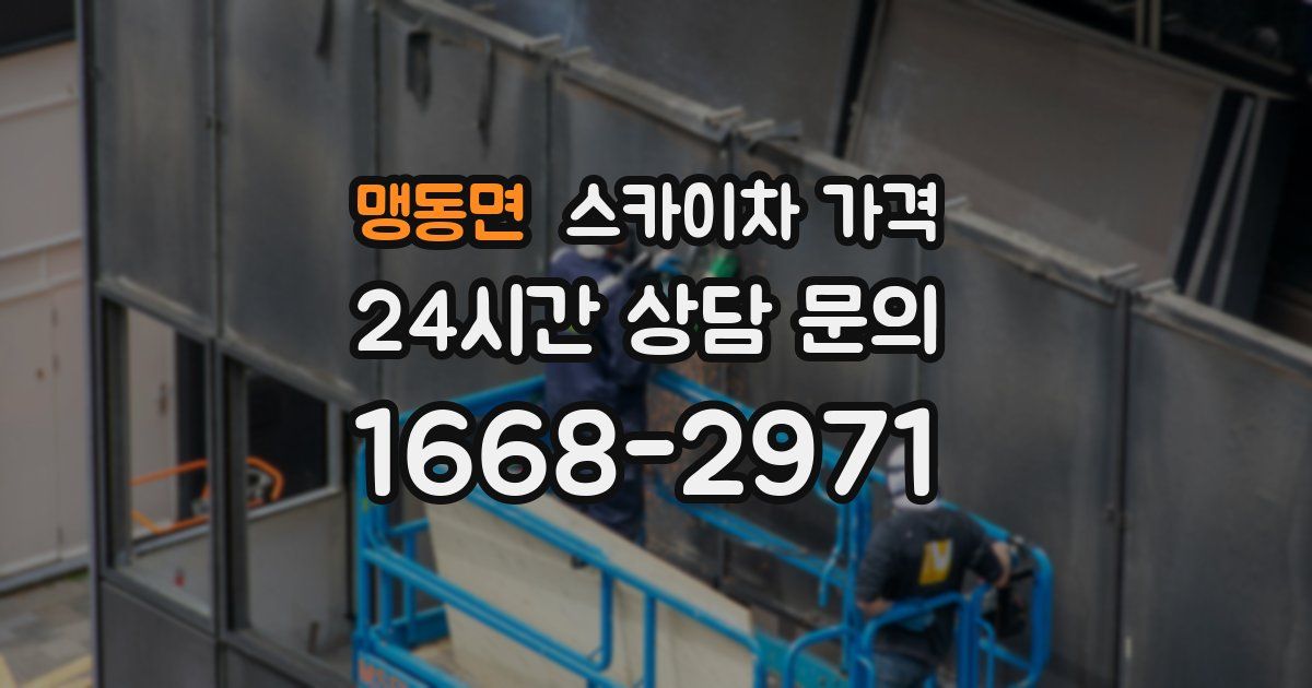 맹동면 스카이차 가격