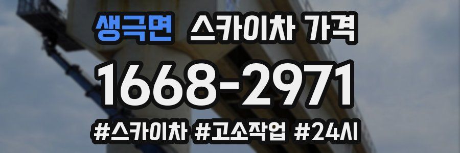 생극면 스카이차 가격