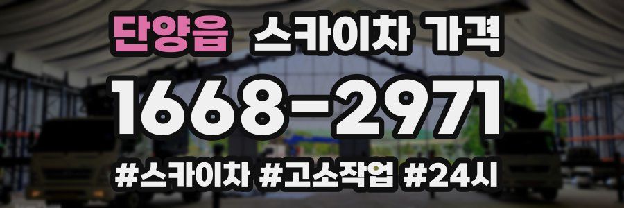 단양읍 스카이차 가격