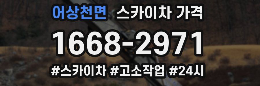 어상천면 스카이차 가격