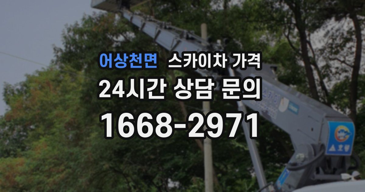 어상천면 스카이차 가격