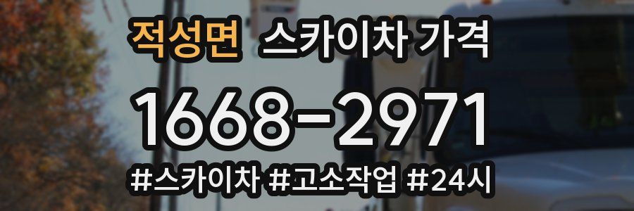 적성면 스카이차 가격