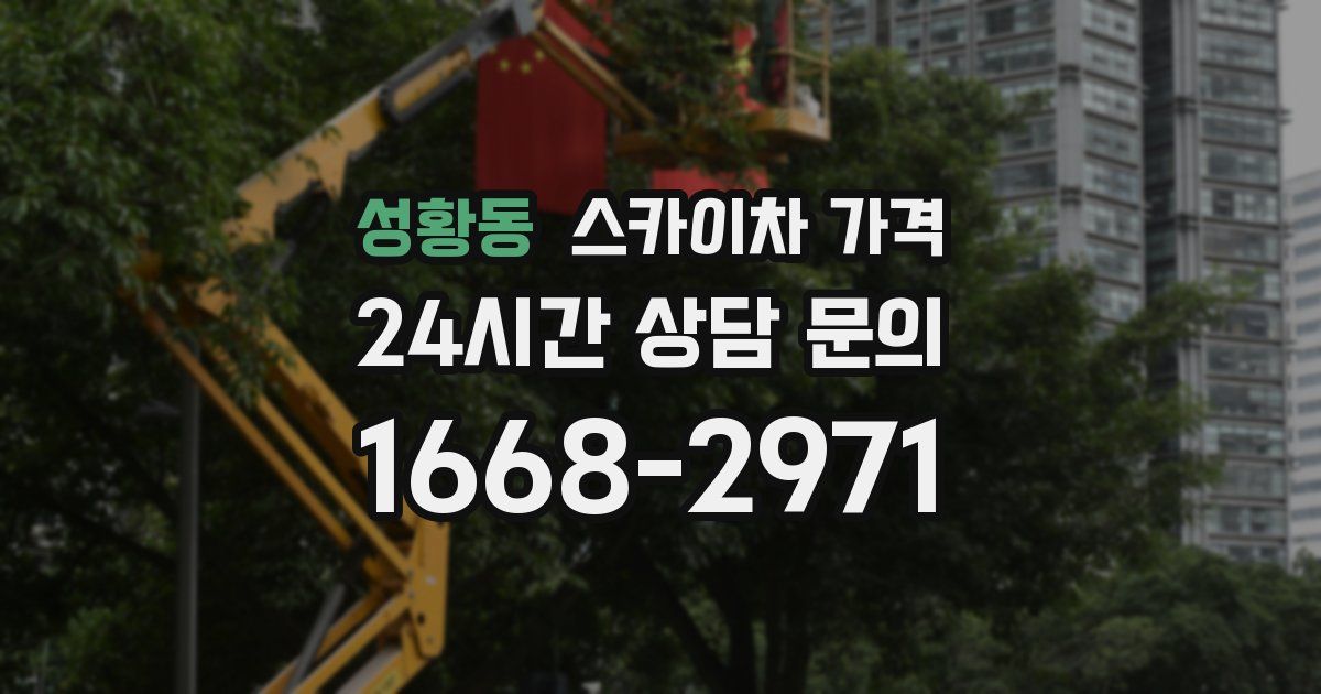 성황동 스카이차 가격