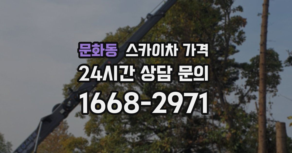 문화동 스카이차 가격