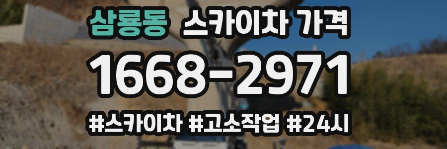 삼룡동 스카이차 가격