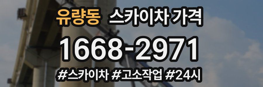 유량동 스카이차 가격