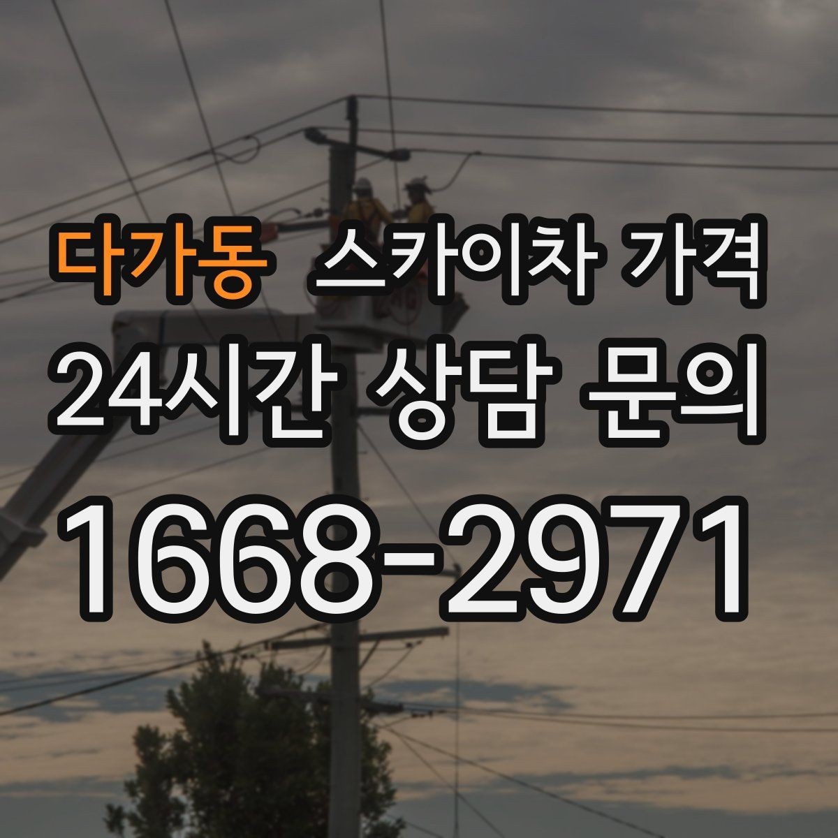 다가동 스카이차 가격 나무 전지 작업은 가지 위치가 변수가 됩니다