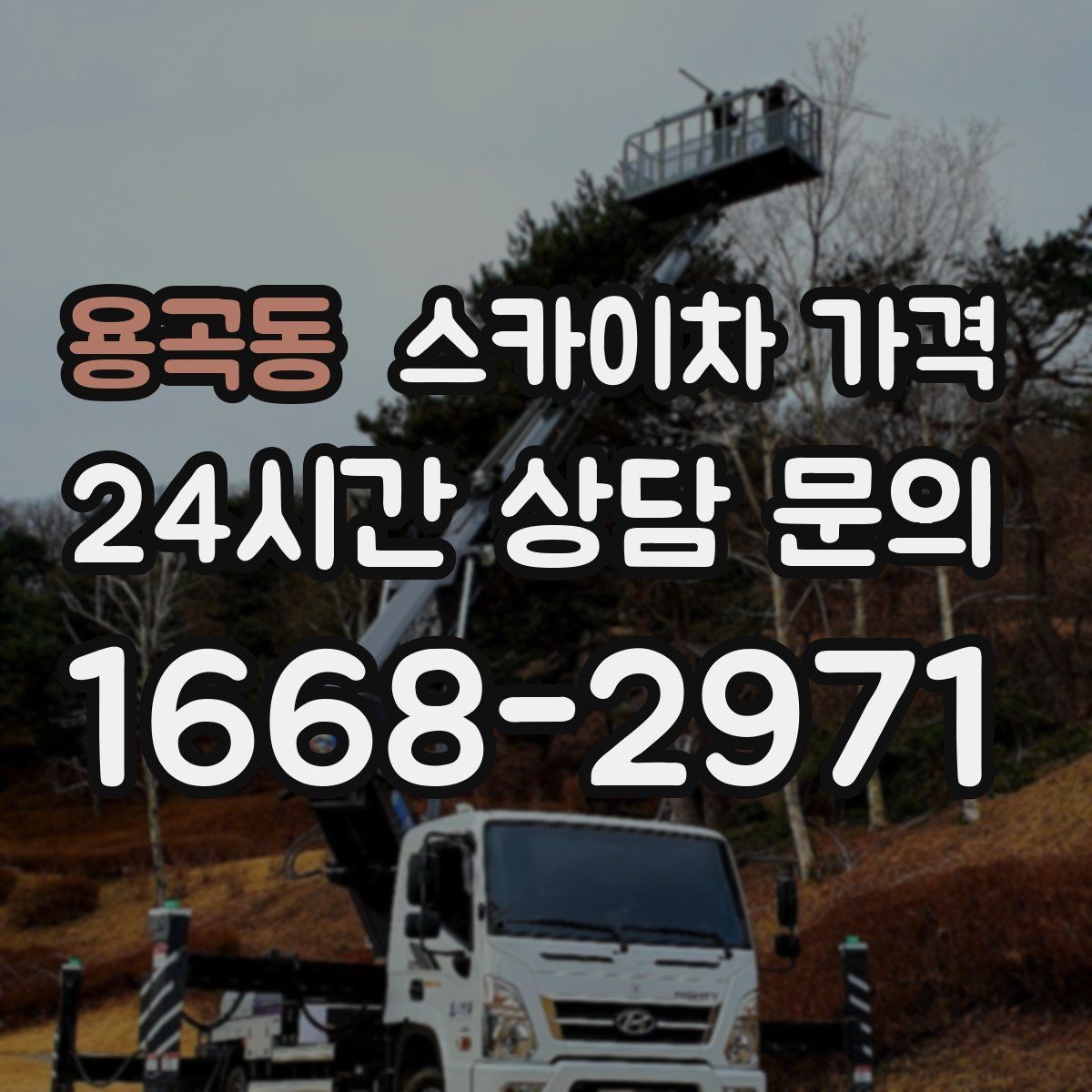 용곡동 스카이차 가격 간판 스위치·배선 점검이 필요한 경우
