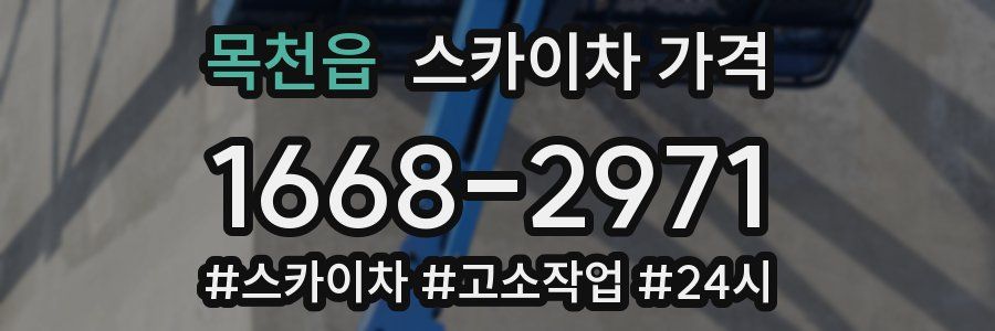 목천읍 스카이차 가격