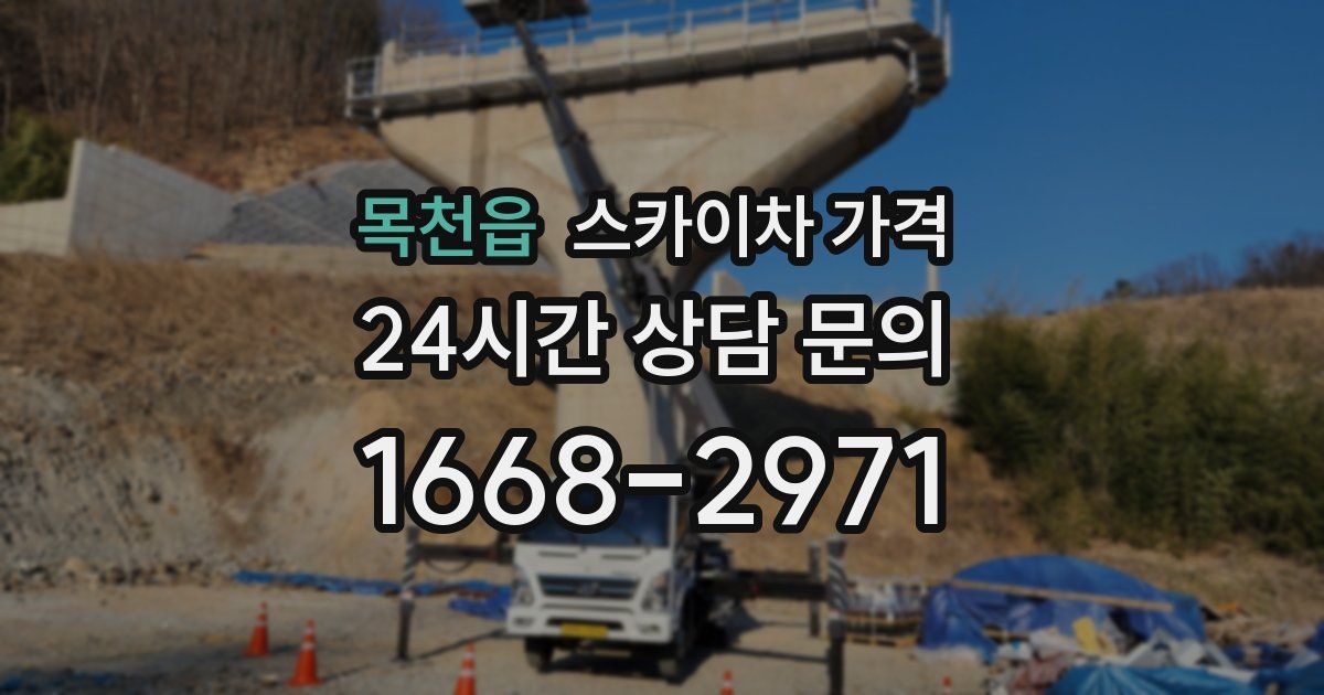 목천읍 스카이차 가격