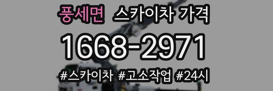 풍세면 스카이차 가격