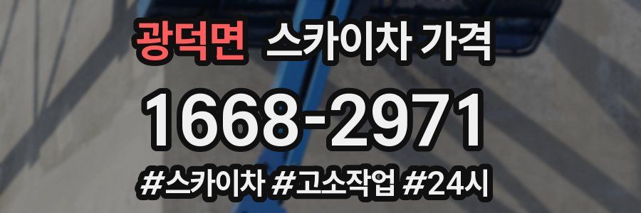 광덕면 스카이차 가격