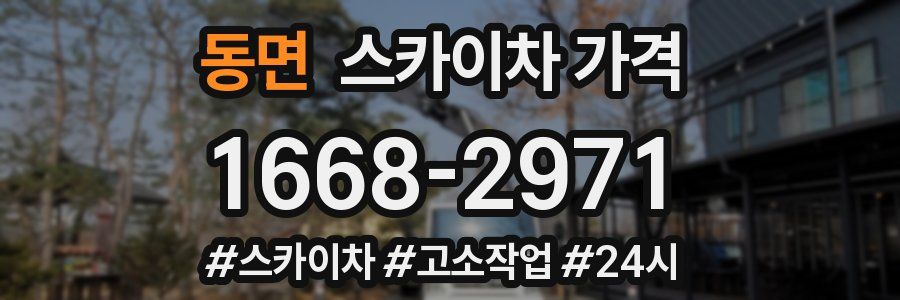 동면 스카이차 가격