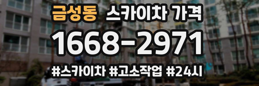 금성동 스카이차 가격