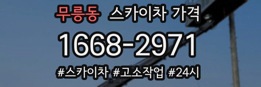 무릉동 스카이차 가격