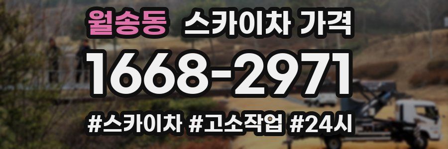 월송동 스카이차 가격