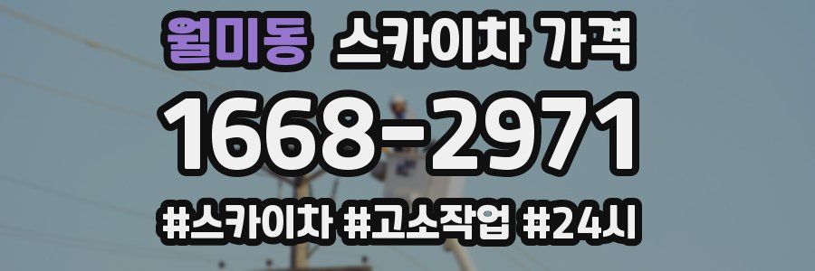 월미동 스카이차 가격