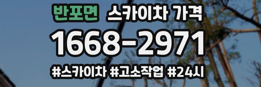 반포면 스카이차 가격