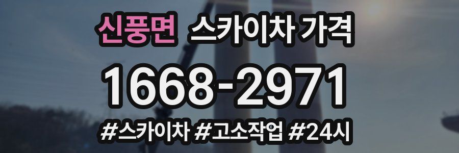 신풍면 스카이차 가격