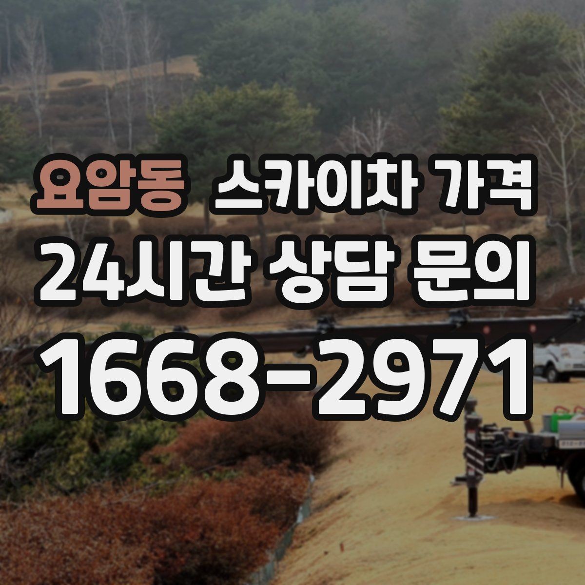 요암동 스카이차 가격 문의할 때 꼭 알려야 할 정보 5가지