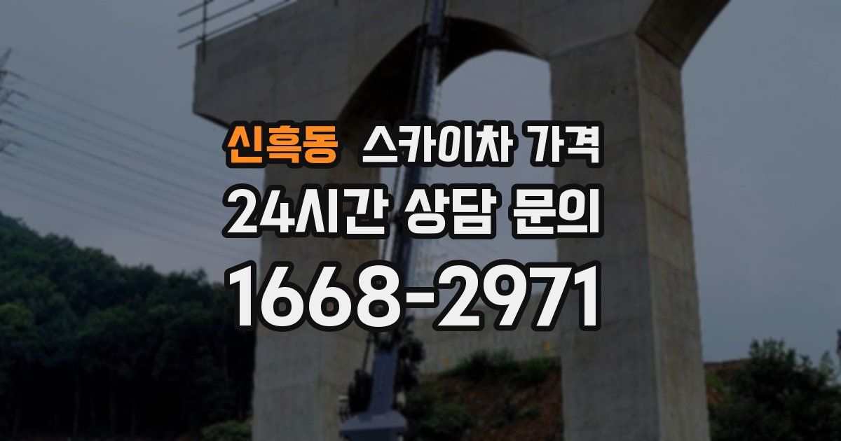 신흑동 스카이차 가격