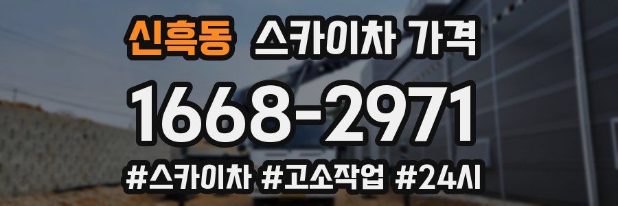 신흑동 스카이차 가격