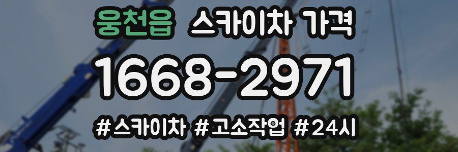 웅천읍 스카이차 가격