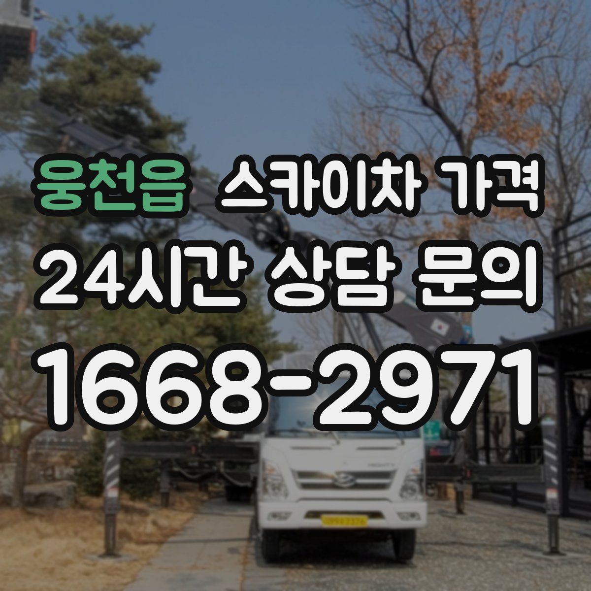 웅천읍 스카이차 가격