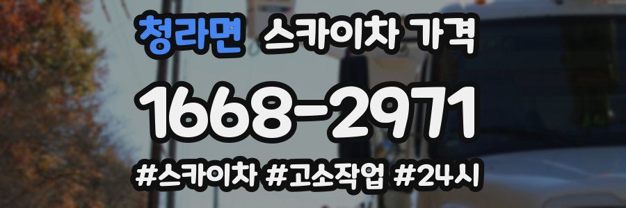 청라면 스카이차 가격