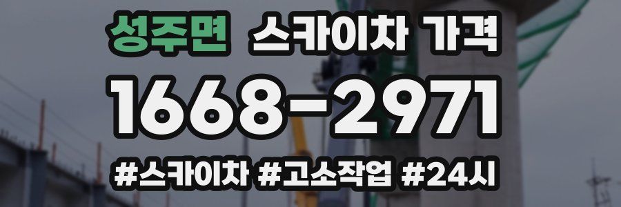 성주면 스카이차 가격