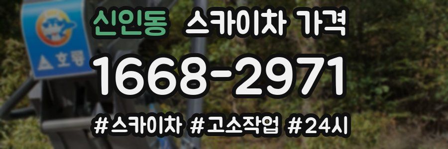 신인동 스카이차 가격
