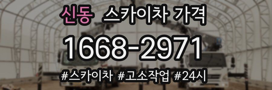 신동 스카이차 가격