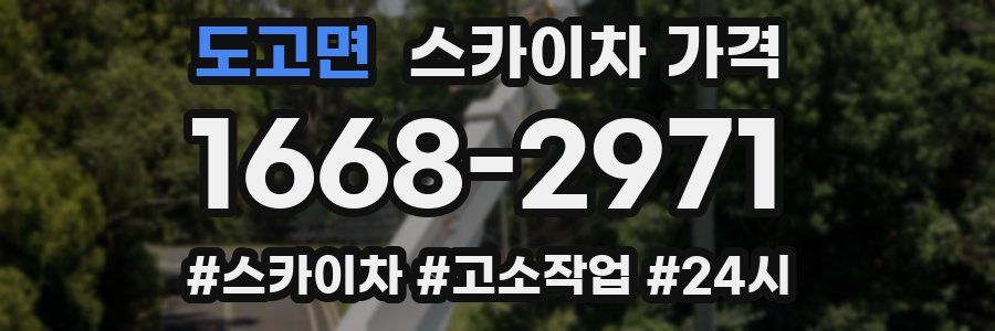 도고면 스카이차 가격